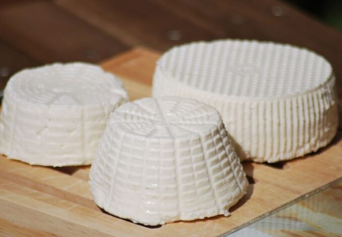 PREPARAZIONI DI BASE-FORMAGGIO DI CAPRA FATTO IN CASA