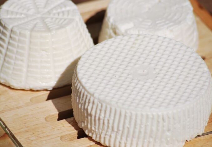 PREPARAZIONI DI BASE-FORMAGGIO DI CAPRA FATTO IN CASA07