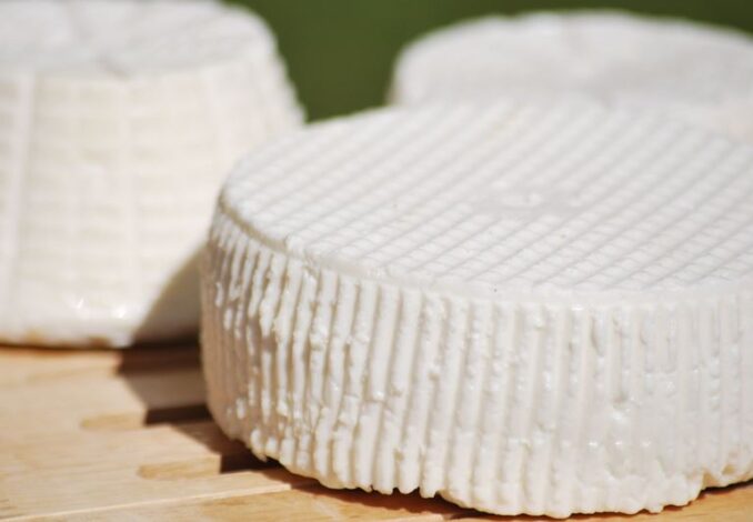 PREPARAZIONI DI BASE-FORMAGGIO DI CAPRA FATTO IN CASA08